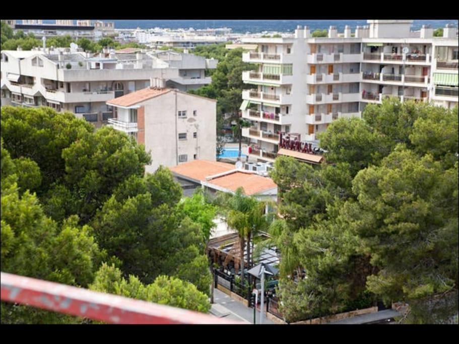 Apartamento Amposta 萨洛 外观 照片